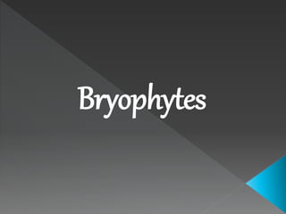 Bryophytes 
 