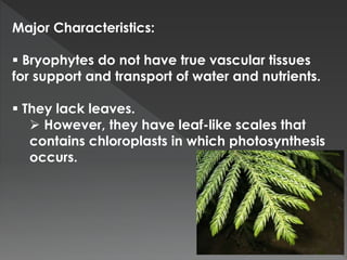 Major Characteristics: 
 Bryophytes do not have true vascular tissues 
for support and transport of water and nutrients. 
 They lack leaves. 
 However, they have leaf-like scales that 
contains chloroplasts in which photosynthesis 
occurs. 
 