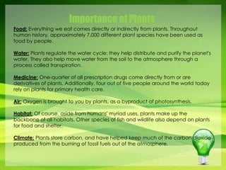 Importance of Plants 
Food: Everything we eat comes directly or indirectly from plants. Throughout 
human history, approximately 7,000 different plant species have been used as 
food by people. 
Water: Plants regulate the water cycle: they help distribute and purify the planet's 
water. They also help move water from the soil to the atmosphere through a 
process called transpiration. 
Medicine: One-quarter of all prescription drugs come directly from or are 
derivatives of plants. Additionally, four out of five people around the world today 
rely on plants for primary health care. 
Air: Oxygen is brought to you by plants, as a byproduct of photosynthesis. 
Habitat: Of course, aside from humans' myriad uses, plants make up the 
backbone of all habitats. Other species of fish and wildlife also depend on plants 
for food and shelter. 
Climate: Plants store carbon, and have helped keep much of the carbon dioxide 
produced from the burning of fossil fuels out of the atmosphere. 
 