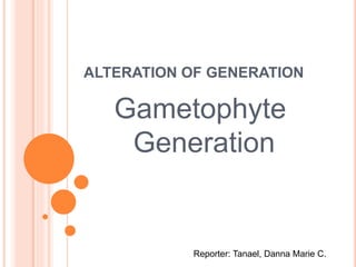 ALTERATION OF GENERATION 
Gametophyte 
Generation 
Reporter: Tanael, Danna Marie C. 
 