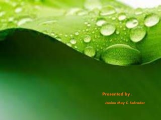 Presented by : 
Janina May C. Salvador 
 