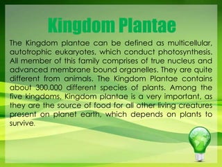 Kingdom Plantae 
Kingdom Plantae 
The Plants, Kingdom also called plantae green can plants be defined (Viridiplantae as multicellular, 
in latin), 
are autotrophic multicellular eukaryotes, eukaryotes of which the conduct kingdom Plantae. photosynthesis. 
They form 
a clade that includes the flowering plants, conifers and 
All member of this family comprises of true nucleus and 
other gymnosperms, ferns, clubmosses, hornworts, liverworts, mosses and 
advanced the green algae. membrane Plants exclude bound the organelles. red and brown They algae, are animals, 
quite 
different the fungi, archaea from and animals. bacteria. 
The Kingdom Plantae contains 
about 300,000 different species of plants. Among the 
five kingdoms, Kingdom plantae is a very important, as 
they are the source of food for all other living creatures 
present on planet earth, which depends on plants to 
survive. 
 
