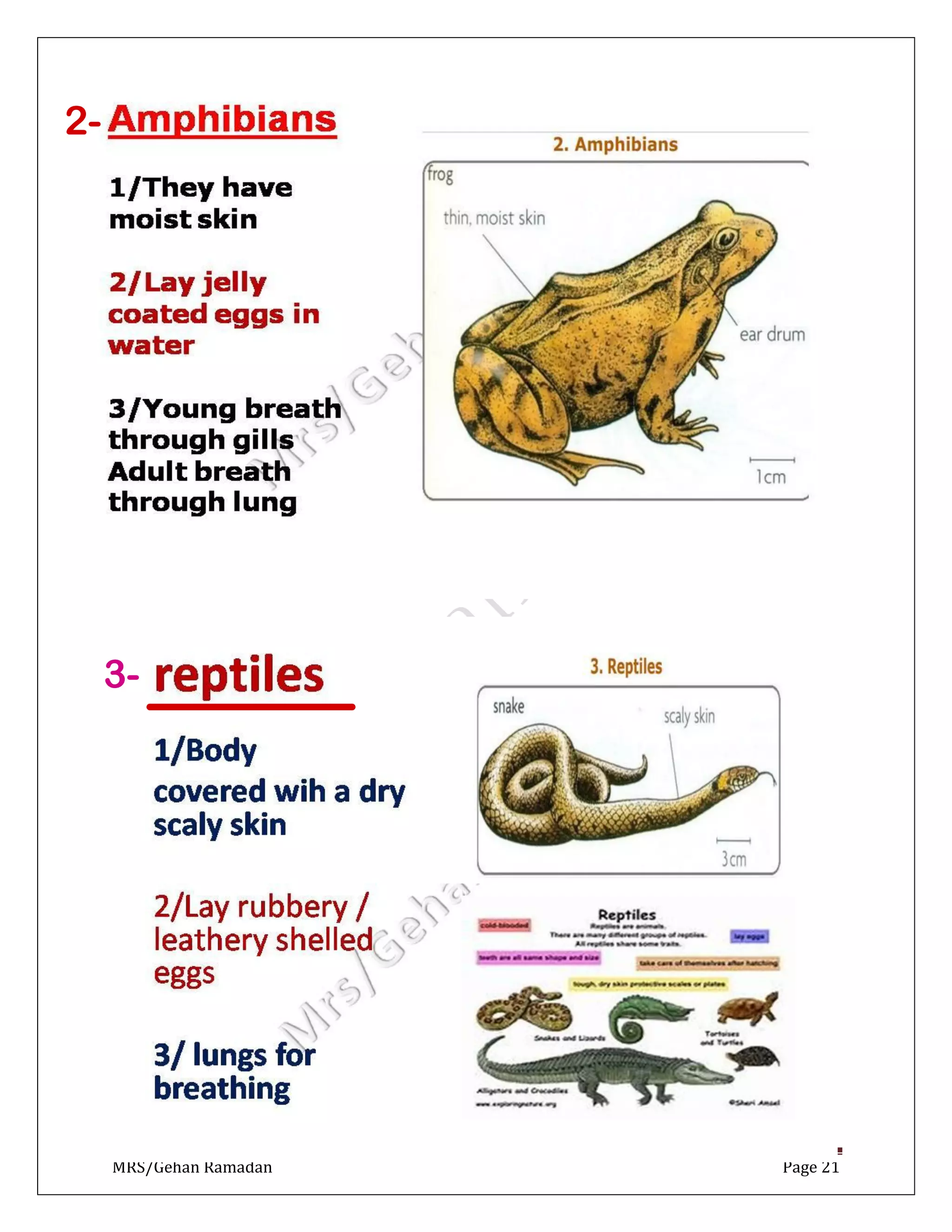 biology 1. Classification Of Living Organisms notes (Dr. jehan Ramadan ...