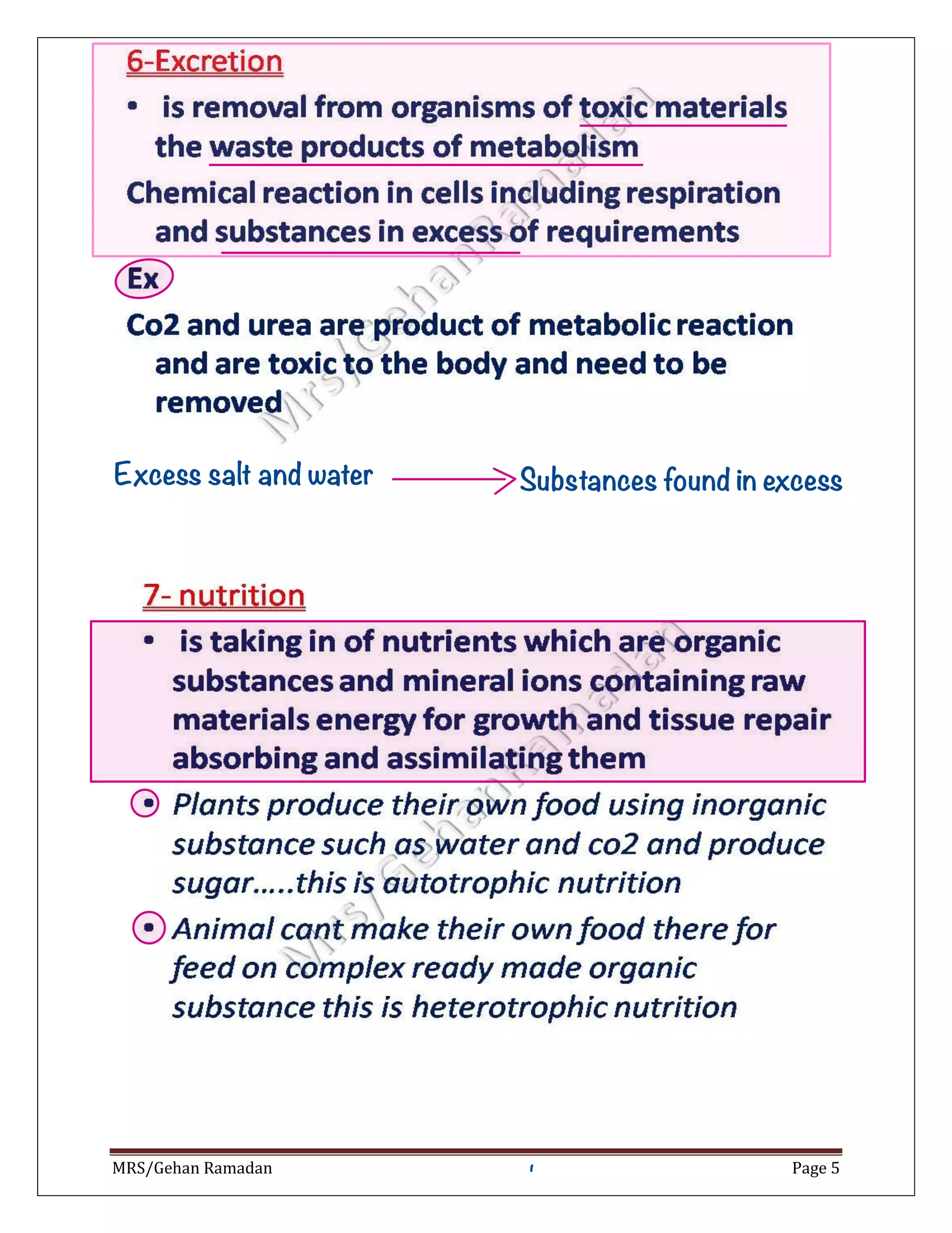 Biology 1 Classification Of Living Organisms Notes Dr Jehan Ramadan