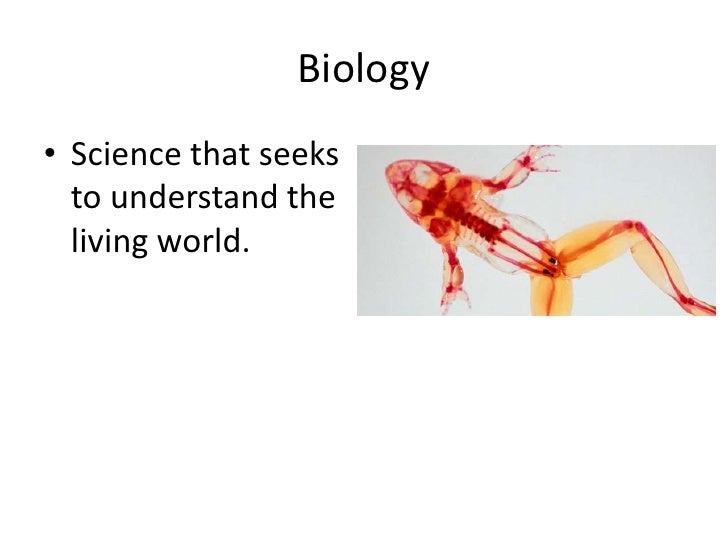 Biology 1 3