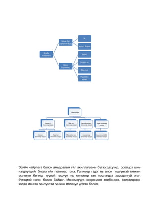 Ус
                                         Шим бус
                                       /органик бус/
                                                               Эрдэс, бодис


                   Эсийн
                                                                   Уураг
                  найрлага


                                                                  Нүүрс-ус
                                           Шим
                                         /органик/
                                                                  Өөх тос


                                                                  Нуклейн
                                                                   хүчил




                                                     Шим нэгдэл




                      Нүүрс ус-                  Өөх тос-         Нуклейн хүчил-   Уураг-полимер
                   полимер нэгдэл             полимер нэгдэл      полимер нэгдэл       нэгдэл




            Глюкоз-            Фруктоз-      Өөхний хүчил-          Нуклеотид-     Аминхүчил /20/-
         мономер нэгдэл     мономер нэгдэл   мономер нэгдэл       мономер нэгдэл   мономер нэгдэл




Эсийн найрлага болон амьдралын үйл ажиллагааны бүтээгдэхүүнд оролцох шим
нэгдлүүдийг биологийн полимер гэнэ. Полимер гэдэг нь олон гишүүнтэй гинжин
молекул бөгөөд түүний гишүүн нь мономер гэж нэрлэгдэх харьцангуй эгэл
бүтэцтэй нэгэн бодис байдаг. Мономерүүд хоорондоо холбогдож, хэлхэлдсээр
хэдэн мянган гишүүнтэй гинжин молекул үүсгэж болно.
 