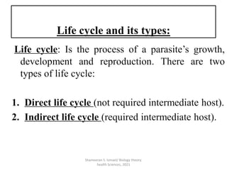 Examples Direct Livecycle Biology: Parasitology | PDF