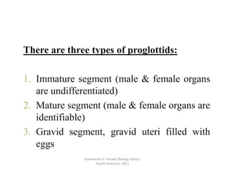 Biology: Parasitology | PDF