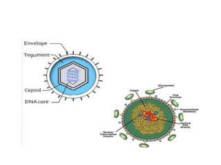 Introduction to Medical Mycology and Virology | PPTX