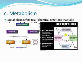 c. Metabolism
 Metabolism refers to all chemical reactions that take
place inside the cell. These chemical reactions are
behind the formation of proteins, digestion of
substances, cell division and energy transformation.
 
