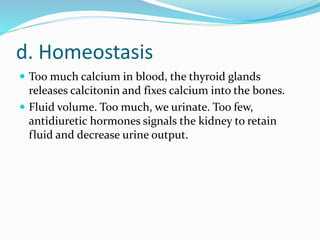 d. Homeostasis
 Too much calcium in blood, the thyroid glands
releases calcitonin and fixes calcium into the bones.
 Fluid volume. Too much, we urinate. Too few,
antidiuretic hormones signals the kidney to retain
fluid and decrease urine output.
 