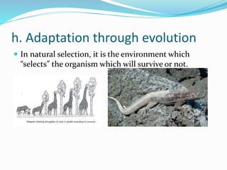 h. Adaptation through evolution
 In natural selection, it is the environment which
“selects” the organism which will survive or not.
 