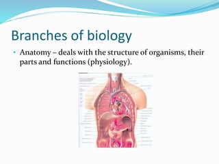 Branches of biology
• Anatomy – deals with the structure of organisms, their
parts and functions (physiology).
 