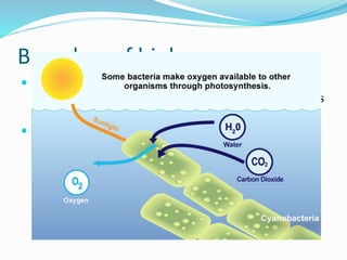 Branches of biology
 Botany – the study of plants. Plants range from fungi
or bacteria with plant-like characteristics to giant trees
like the seguioa trees.
 Cyanobacteria – bacteria capable of photosynthesis.
 