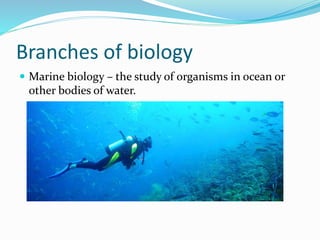 Branches of biology
 Marine biology – the study of organisms in ocean or
other bodies of water.
 