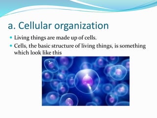 a. Cellular organization
 Living things are made up of cells.
 Cells, the basic structure of living things, is something
which look like this
 