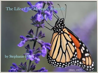 The Life of the Monarch Butterfly




by Stephanie Pitts


                                    (Stein, 2007)
 