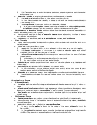 ß

-

-

the Casparian strip is an impermeable lignin and suberin layer that excludes water
and mineral ions
o
vascular cylinder is an arrangement of vascular tissues as a cylinder
ß
the pericycle is the first layer of cells within vascular cylinder
ß
its cells have retained the capacity to divide; it can start the development of branch
or secondary roots
ß
vascular tissue forms main portion of a vascular cylinder
∑
it is composed of xylem, whose cells are arranged in a star-shaped pattern;
and phloem, whose cells are located in regions between arms of xylem
Organization of Monocot Roots: monocot roots have the same zones as a eudicot root
but do not undergo secondary growth
o
the monocot root has a ring of vascular tissue where alternating bundles of xylem
and phloem surround pith
o
monocot roots also have pericycle, endodermis, cortex, and epidermis
Root Diversity
o
roots have adaptations to help anchor plants, absorb water and minerals, and store
carbohydrates
o
there are three general root types
ß
taproot is common in eudicots; root adapted to store food (e.g., carrots, beets)
ß
the fibrous root system of monocots is a mass of slender roots and lateral
branches that hold the plant secure in the soil
ß
adventitious roots develop from underground stems or from the base of aboveground stems
∑
prop roots (corn and mangrove plants) anchor the plant
∑
ivy has holdfast roots to anchor aerial shoots
o
haustoria are rootlike projections from stems on parasitic plants (e.g., dodders and
broomrapes)
o
mycorrhizae are an association between fungus and roots
ß
in this mutualism, fungus receives sugars and amino acids from plant & plant
receives water and minerals from the fungus
o
legumes (e.g., peas and beans) have root nodules containing nitrogen-fixing bacteria
ß
bacteria extract nitrogen from air and reduce it to a form that can be used by plant
tissues

Organization of Stems
Primary Growth
o
the stem tip is the site of primary growth where cell division extends length of stems or
roots
o
shoot apical meristem produces new leaves and primary meristems, increasing stem
length & is protected within a terminal bud of leaf primordia (immature leaves)
o
bud scales are scalelike coverings protecting terminal buds during winters when bud
growth stops
Herbaceous Stems
o
herbaceous stems are mature nonwoody stems that exhibit only primary growth
o
the outermost tissue of herbaceous stems is epidermis covered by a waxy cuticle to
prevent water loss.
o
xylem and phloem are in distinctive vascular bundles
ß
in each bundle, xylem is found to the inside of the stem; phloem is found to
the outside
ß
in the eudicot herbaceous stem, vascular bundles are arranged in a ring towards
outside of the stem and separating the cortex from the central pith

 