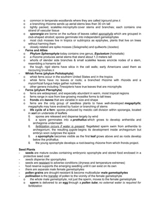 o
o
o

-

-

-

common in temperate woodlands where they are called ≥ground pine.≤
a branching rhizome sends up aerial stems less than 30 cm tall
tightly packed, scalelike microphylls cover stems and branches; each contains one
strand of vascular tissue
o
sporangia are borne on the surface of leaves called sporophylls which are grouped in
club-shaped stroboli; spores germinate into independent gametophytes
o
most club mosses live in tropics or subtropics as epiphytes, plants that live on trees
without harming them
o
closely related are spike mosses (Selaginella) and quillworts (Isoetes)
Ferns and Allies
o
Phylum Sphenophyta today contains one genus, Equisetum (horsetails)
o
a rhizome produces aerial stems that stand about 1.3 meters tall
o
whorls of slender side branches & small scalelike leaves encircle nodes of a stem,
resembling a horseπs tail
o
the tough, rigid stems have silica in the cell walls; early Americans used them as
≥scouring brushes.≤
Whisk Ferns (phylum Psilotophyta)
o
whisk ferns occur in the southern United States and in the tropics
o
whisk ferns have no leaves or roots; a branched rhizome with rhizoids and a
mycorrhizal fungus helps gather nutrients
o
other genera including Tmesipteris have true leaves that are microphylls
Ferns (phylum Pterophyta)
o
ferns are widespread, and especially abundant in warm, moist tropical regions
o
ferns range in size from low-growing mosslike forms to tall trees
o
fronds are leaves that are variable in size and shape
o
ferns are the only group of seedless plants to have well-developed megaphylls;
megaphylls may have evolved by fusion or branching of stems
o
life cycle of a fern: spores produced by meiotic cell division within sporangia, located
in sori on underside of leaflets
ß
spores are released and disperse largely by wind
ß
a spore germinates into a prothallus which grows to develop antheridia and
archegonia underneath
ß
fertilization occurs if water is present; flagellated sperm swim from antheridia to
archegonium; the resulting zygote begins its development inside archegonium but
embryo soon outgrows the space
ß
a sporophyte becomes visible as the first leaf grows above and as roots develop
below the prothallus
ß
the young sporophyte develops a root-bearing rhizome from which fronds project.

Seed Plants
seeds are mature ovules containing embryonic sporophyte and stored food enclosed in a
protective seed coat
seeds disperse the sporophytes
seeds are resistant to adverse conditions (dryness and temperature extremes)
food reserve supports the emerging seedling until it can exist on its own
there are separate male female gametophytes
pollen grains are drought resistant & become multicellular male gametophytes
pollination is the transfer of pollen to the vicinity of the female gametophyte
o
the whole male gametophyte, not just the sperm, moves to the female gametophyte
o
sperm is delivered to an egg through a pollen tube; no external water is required for
fertilization

 
