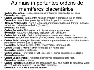 As mais importantes ordens de
mamíferos placentários
• Ordem Chiroptera: Possuem membros anteriores modificados em asas.
Exemplo: morcegos.
• Ordem Carnivora: Têm dentes caninos grandes e alimentam-se de carne.
Exemplos: cães, lobos, gatos, tigres, leões, leopardos, onças, etc.
• Ordem Proboscidea: Nariz e lábio superior transformados em tromba, incisivos
superiores muito desenvolvidos ("presas").
Exemplo: elefantes.
• Ordem Rodentia: Dois pares de incisivos adaptados para roer.
Exemplos: ratos, camundongos, capivaras, chin-chilas, etc
• Ordem Artiodactyla: Dedos protegidos por cascos, em número par.
Exemplo: bois, búfalos, lhamas, girafas, cabras, veados, porcos, carneiros, etc.
• Ordem Perissodactyla: Possuem número ímpar de dedos, e o terceiro é coberto
pelo casco, sobre o qual se apoiam.
Exemplos: cavalos, zebras, antas, rinocerontes, tapir-anta, etc.
• Ordem Cetacea: Membros transformados em nadadeiras.
Exemplos: baleias e golfinhos.
• Ordem Sirenia: Herbívoros aquáticos, com membros adaptados à natação.
Exemplo:peixe-boi.
• Ordem Lagomorpha: Três pares de incisivos adaptados para roer.
Exemplos: coelhos e lebres.
• Ordem Primata:Cinco dedos nas mãos e nos pés, com poder de preensão; visão
de profundidade desenvolvida, encéfalo volumoso.
Exemplos: macacos e seres humanos.
 