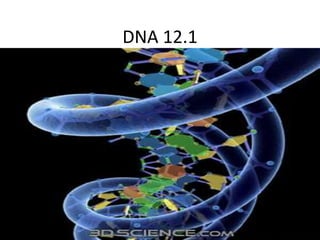 DNA 12.1  