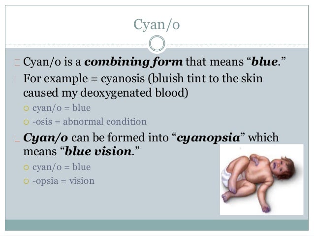 integumentary system what is a combining form meaning skin