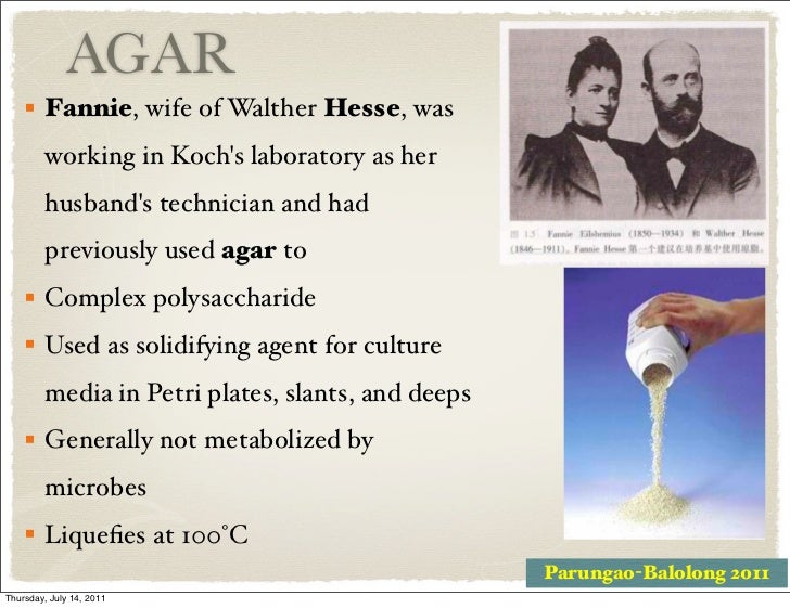 Biology 120 lecture 4 2011 2012