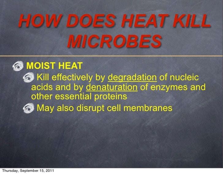 Biology 120 lecture 5 2011 2012