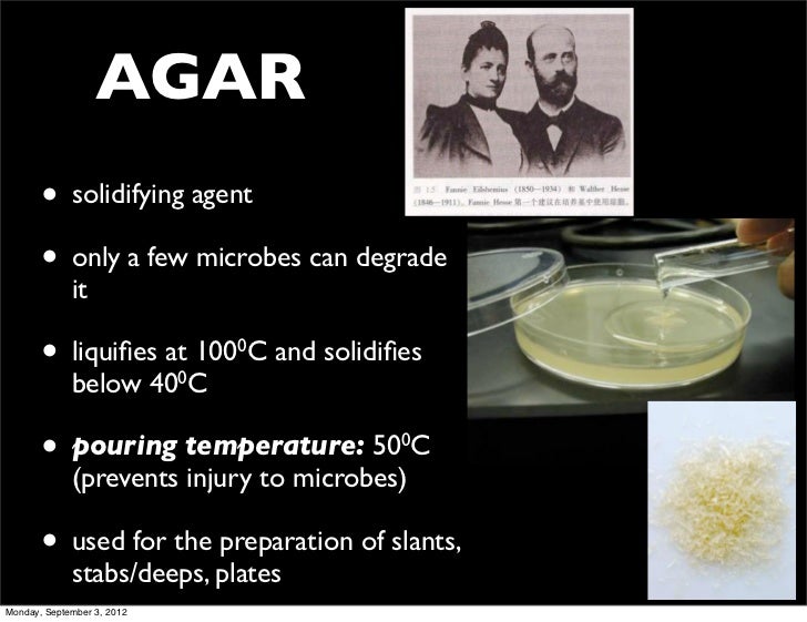 Biology 120 lectures for 2nd exam 2012 2012