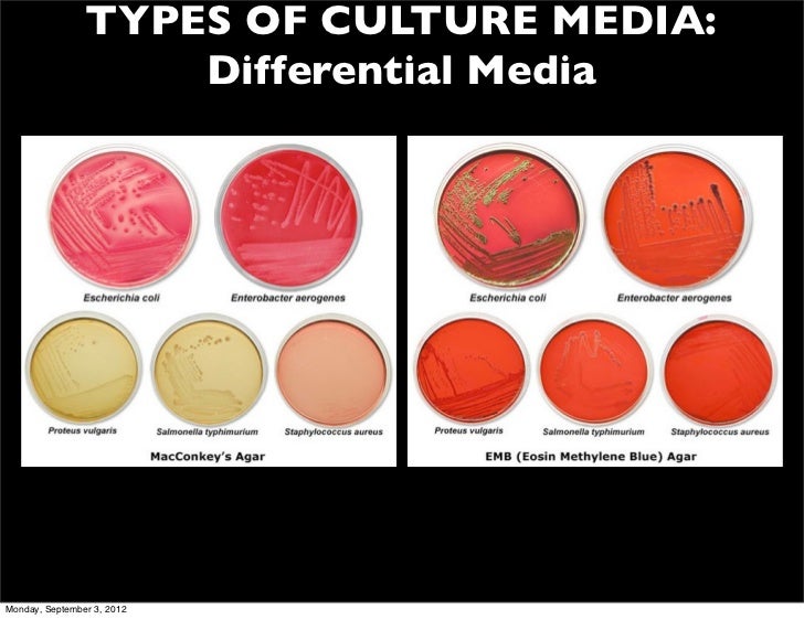 Biology 120 lectures for 2nd exam 2012 2012