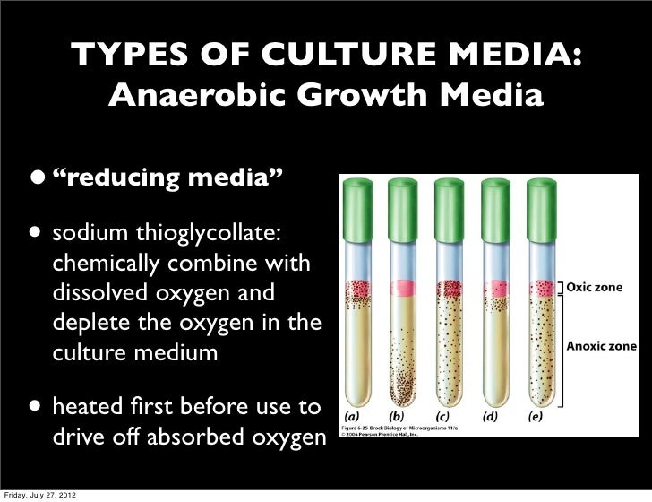 Biology 120 lectures for 2nd exam 2012 2012 (part 1 microbial growth)