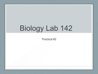 Biology Lab 142
      Practical #2
 