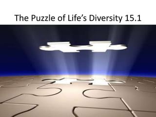The Puzzle of Life’s Diversity 15.1 