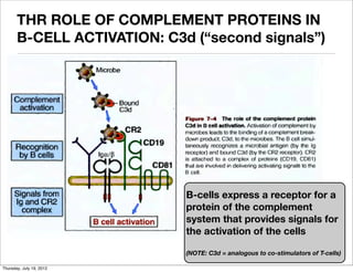 Biology 151 lecture 4 2012 2013 (part 2 hi) | PDF