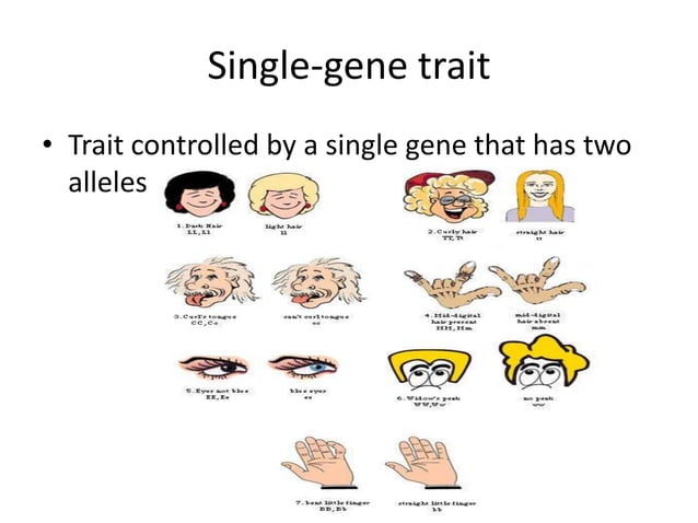 Biology 16 1 genes and variation[1]