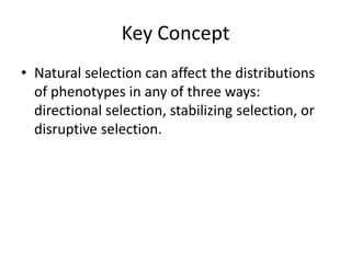 Key ConceptNatural selection can affect the distributions of phenotypes in any of three ways: directional selection, stabilizing selection, or disruptive selection.