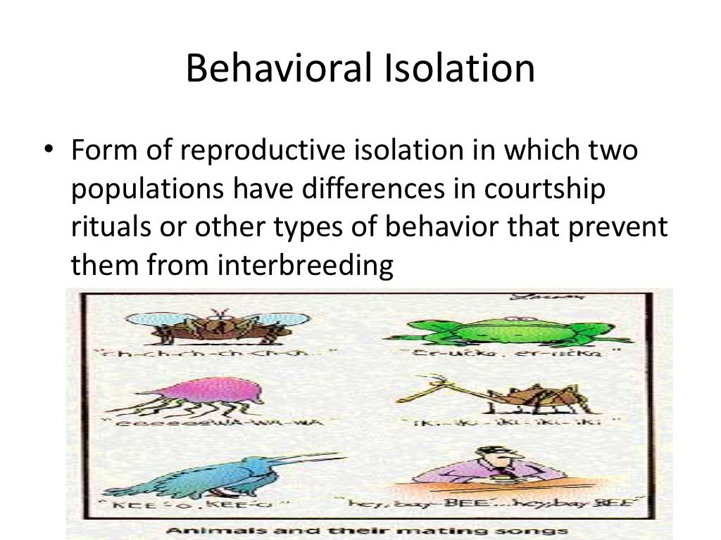 Biology 16 3 the process of speciation[1]