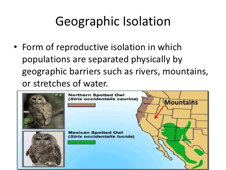Biology 16 3 the process of speciation[1]