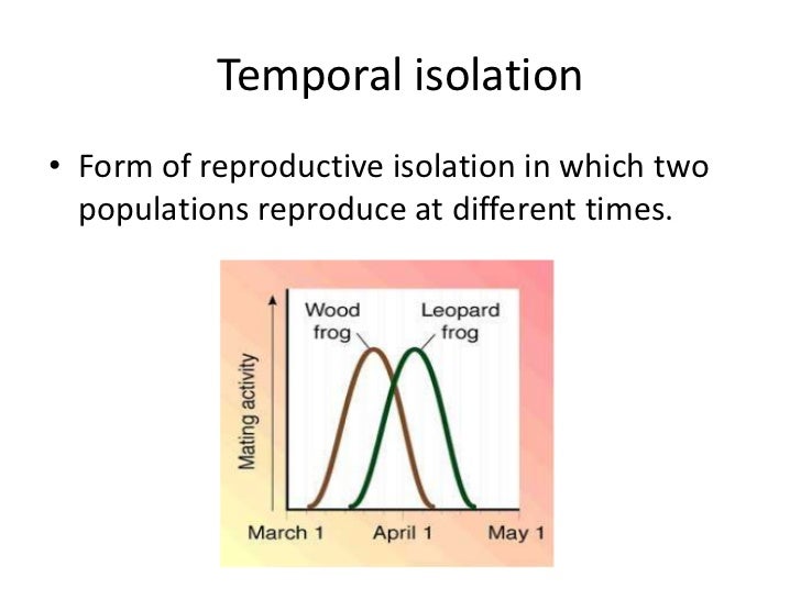 Biology 16 3 the process of speciation[1]