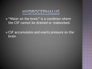Hydrocephalus“Water on the brain” is a condition where the CSF cannot be drained or reabsorbed.CSF accumulates and exerts pressure on the brain