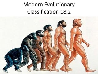 Modern Evolutionary
Classification 18.2
 