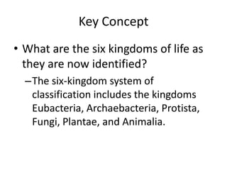 Key ConceptWhat are the six kingdoms of life as they are now identified?The six-kingdom system of classification includes the kingdoms Eubacteria, Archaebacteria, Protista, Fungi, Plantae, and Animalia.