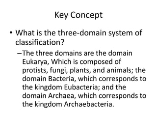 Key Concept What is the three-domain system of classification?The three domains are the domain Eukarya, Which is composed of protists, fungi, plants, and animals; the domain Bacteria, which corresponds to the kingdom Eubacteria; and the domain Archaea, which corresponds to the kingdom Archaebacteria.