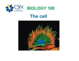 BIOLOGY 189
 The cell
 