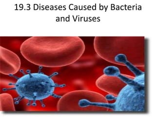 19.3 Diseases Caused by Bacteria and Viruses 