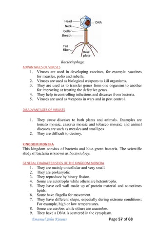 Emanuel John Kisunte Page 57 of 68
Bacteriophage
ADVANTAGES OF VIRUSES
1. Viruses are used in developing vaccines, for example, vaccines
for measles, polio and rubella.
2. Viruses are used as biological weapons to kill organisms.
3. They are used as to transfer genes from one organism to another
for improving or treating the defective genes.
4. They help in controlling infections and diseases from bacteria.
5. Viruses are used as weapons in wars and in pest control.
DISADVANTAGES OF VIRUSES
1. They cause diseases to both plants and animals. Examples are
tomato mosaic, cassava mosaic and tobacco mosaic; and animal
diseases are such as measles and small pox.
2. They are difficult to destroy.
KINGDOM MONERA
This kingdom consists of bacteria and blue-green bacteria. The scientific
study of bacteria is known as bacteriology.
GENERAL CHARACTERISTICS OF THE KINGDOM MONERA
1. They are mainly unicellular and very small.
2. They are prokaryotic
3. They reproduce by binary fission.
4. Some are autotrophs while others are heterotrophs.
5. They have cell wall made up of protein material and sometimes
lipids.
6. Some have flagella for movement.
7. They have different shape, especially during extreme conditions;
For example, high or low temperatures.
8. Some are aerobes while others are anaerobes.
9. They have a DNA is scattered in the cytoplasm.
 