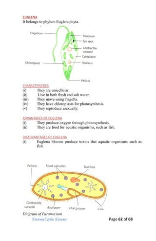 Emanuel John Kisunte Page 62 of 68
EUGLENA
It belongs to phylum Euglenophyta.
CHARACTERISTICS
(i) They are unicellular.
(ii) Live in both fresh and salt water.
(iii) They move using flagella.
(iv) They have chloroplasts for photosynthesis.
(v) They reproduce asexually.
ADVANTAGES OF EUGLENA
(i) They produce oxygen through photosynthesis.
(ii) They are food for aquatic organisms, such as fish.
DISADVANTAGES OF EUGLENA
(i) Euglena blooms produce toxins that aquatic organisms such as
fish.
Diagram of Paramecium
 