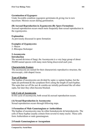 First Year Biology Notes 101
Composed by: Seetal Daas
Germination of Zygospore
Under favorable condition zygospore germinates & giving rise to new
mycelium. Meiosis occurs during germination.
(B) Asexual Reproduction in Zygomycota (By Spore Formation)
Asexual reproduction occurs much more frequently than sexual reproduction in
the zygomycetes.
Explanation
As previously discussed in spore formation
Examples of Zygomycetes
1- Mucor
2- Rhizopus Stoloniper
2-Ascomycota
Introduction
The second division of fungi, the Ascomycota is a very large group of about
30,000 named species with many more being discovered each year.
Characteristic Feature
The ascomycota are named for their characteristic reproductive structure, the
microscopic, club shaped Ascus.
Type of Hyphae
The hyphae of ascomycetes are divided by septa i.e septate hyphae, but the
septa are perforated & the cytoplasm flows along the length of each hyphae.
The septa that cut off the asci & conidia are initially perforated like all other
septa, but later they often become blocked.
Life Cycle of Ascomycota
In life cycle of ascomycota, both sexual & asexual reproduction occurs.
(A) Sexual Reproduction in Ascomycota:
Sexual reproduction occurs through following steps.
1-Formation of Male Gametangium or Antheridium
The hyphae of ascomycetes may be either homokaryotic & heterokaryotic. The
cells of these hyphae usually contain from several to many nuclei. These cells
form Antheridium or male gametangium.
2-Female Gametangium or Ascogonium
 