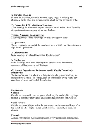 First Year Biology Notes 103
Composed by: Seetal Daas
12-Bursting of Ascus
In most Ascomycetes, the ascus becomes highly turgid at maturity and
ultimately bursts, often at a perforated area, which may be pore or slit or lid
13- Despersion & Germination of Ascospores
After bursting, the ascospores may be thrown as far as 30 cm. Under favorable
circumstances they germinate giving new hyphae.
Types of Ascocarps in Ascomycetes
According to their shape, Ascocarps are of following three types:
1- Opothecium
The ascocarps of cup fungi & the morels are open, with the asci lining the open
cups called Opothecium.
2- Cleistothecium
Some ascocarps are closed & called as ‘Clestothecium’.
3- Perithecium
Some ascocarps have small opening at the apex called as Perithecium.
Ascocarps of Neurospora are of this type.
(B) Asexual Reproduction in Ascomycota (By Condia Formation):
Introduction
The type of asexual reproduction in fungi in which large number of asexual
spores called “Conidia” are formed, each on germination giving rise to new
mycelium is known as Conidial Reproduction.
Explanation
Conidia
Conidia are non-motile, asexual spores which may be produced in very large
number & can survive for weeks, causing rapid colonization on new food.
Conidiophores
Conidia are not developed inside the sporangium but they are usually cut off at
the end of modified hyphae called Conidiophores, commonly in chains or
clusters.
Example
Asexual reproduction by conidia formation is very common in Ascomycetes.
 