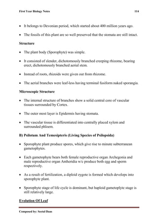 First Year Biology Notes 114
Composed by: Seetal Daas
• It belongs to Devonian period, which started about 400 million years ago.
• The fossils of this plant are so well preserved that the stomata are still intact.
Structure
• The plant body (Sporophyte) was simple.
• It consisted of slender, dichotomously branched creeping rhizome, bearing
erect, dichotomously branched aerial stem.
• Instead of roots, rhizoids were given out from rhizome.
• The aerial branches were leaf-less having terminal fusiform naked sporangia.
Microscopic Structure
• The internal structure of branches show a solid central core of vascular
tissues surrounded by Cortex.
• The outer most layer is Epidermis having stomata.
• The vascular tissue is differentiated into centrally placed xylem and
surrounded phloem.
B) Psilotum And Temesipteris (Living Species of Psilopsida)
• Sporophyte plant produce spores, which give rise to minute subterranean
gametophytes.
• Each gametophyte bears both female reproductive organ Archegonia and
male reproductive organ Antheridia w/c produce both egg and sperm
respectively.
• As a result of fertilization, a diploid zygote is formed which develops into
sporophyte plant.
• Sporophyte stage of life cycle is dominant, but haploid gametoplyte stage is
still relatively large.
Evolution Of Leaf
 